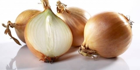 Kada saditi luk u proleće na otvorenom tlu